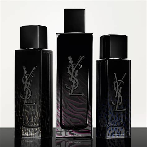 ysl 今期